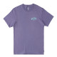 Billabong Ανδρική κοντομάνικη μπλούζα Arch Fill T-Shirt